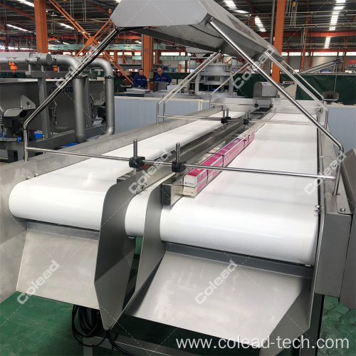 SUS304 Vegetable and fruit selecting conveyor